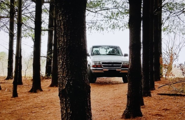 Murder Comes to Town