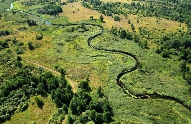 Natura Europa