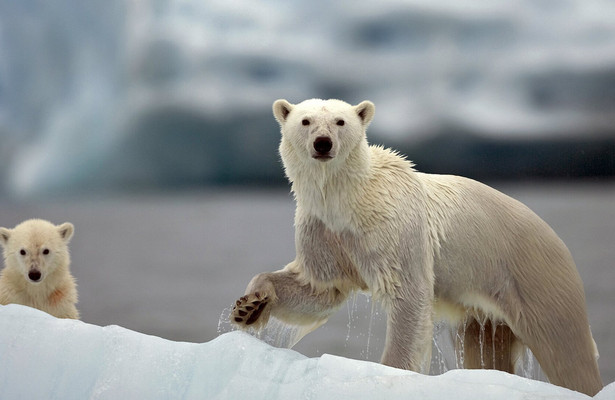 Nature's Great Events