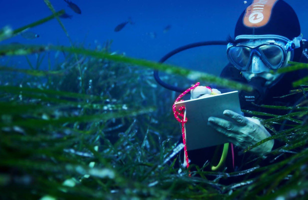 Natuur op 2: Mediterranean - Life under siege