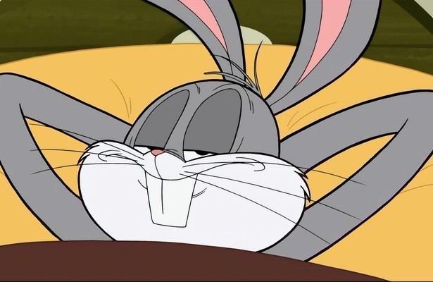 New Looney Tunes