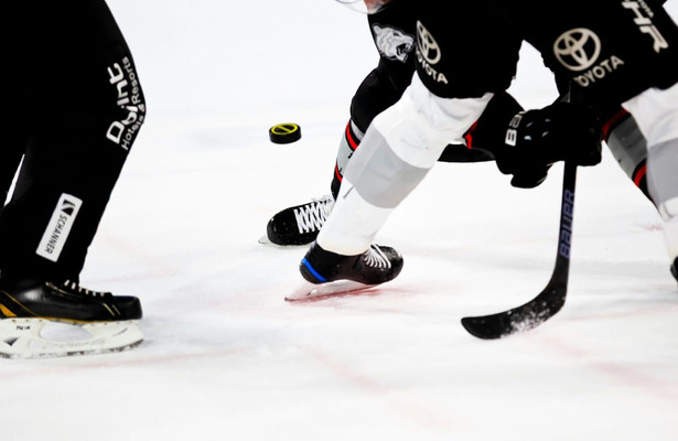 NHL: Columbus Blue Jackets - St. Louis Blues