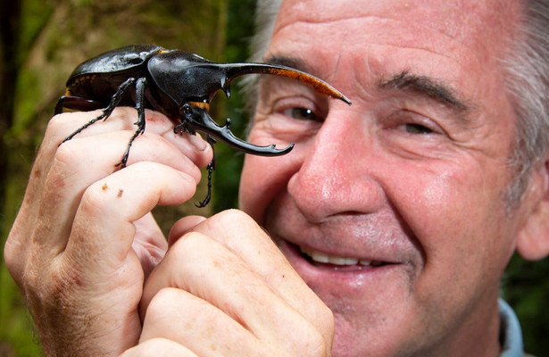 Nigel Marven's wild Central America