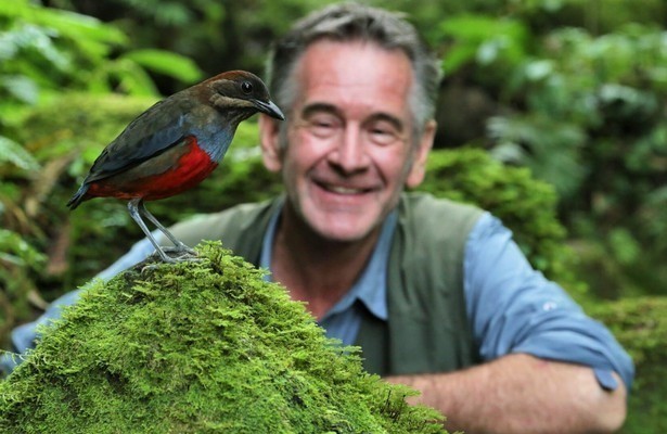 Nigel Marven's wild Philippines