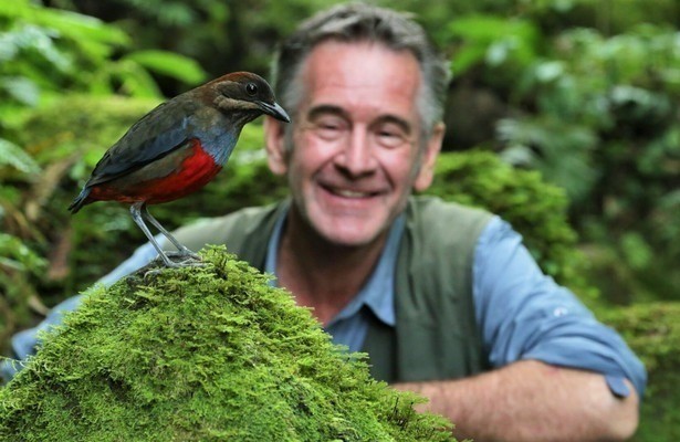 Nigel Marven's wild Philippines