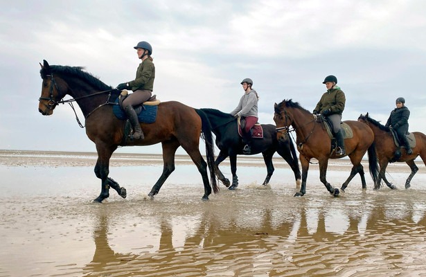 Nordseereport