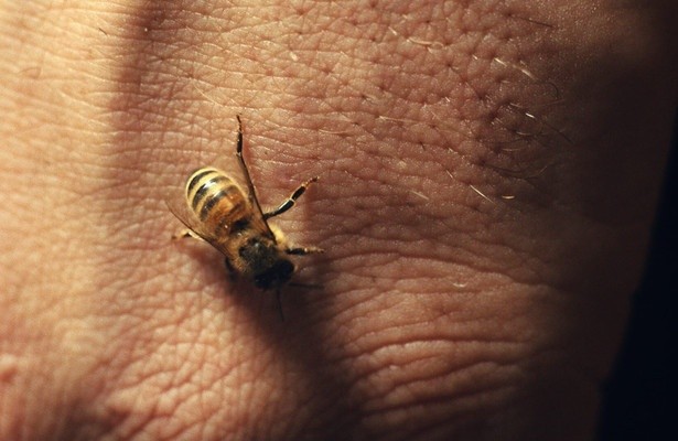 NPO Doc: Suikerwater