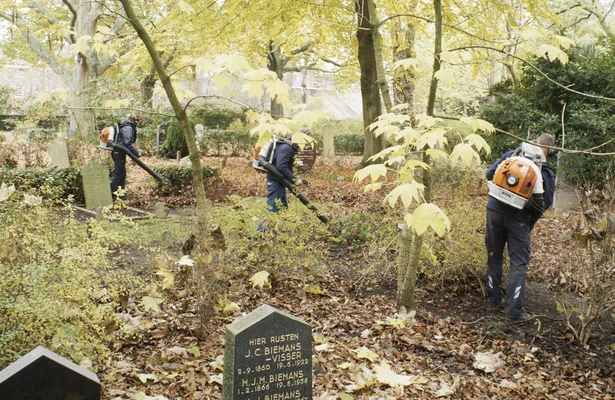 NPO Doc: We, the clean