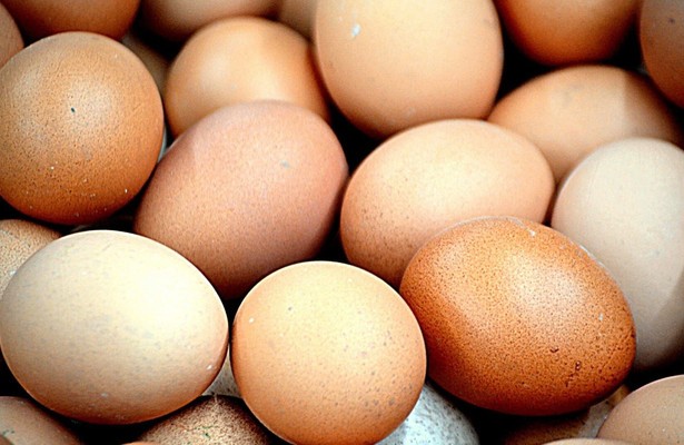 O, verzamelen van eieren in weerzin van tijd