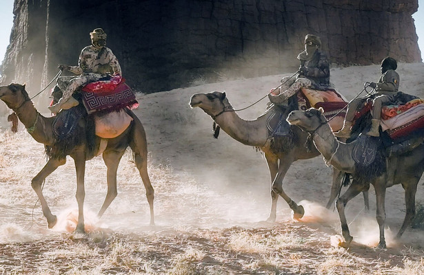 Oasen: Inseln des Lebens