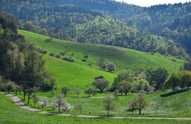 Odenwald - Wildnis & Sagen