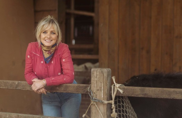Onze boerderij: De oogst
