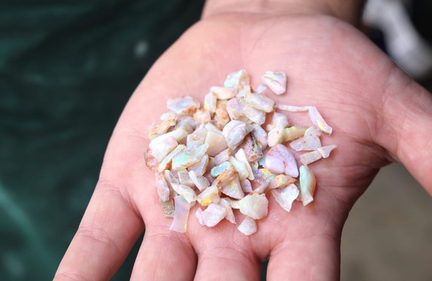 Outback Opal Hunters