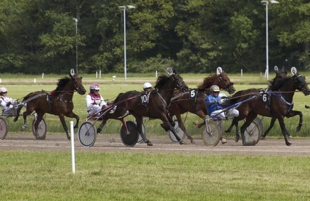 PaardenKracht