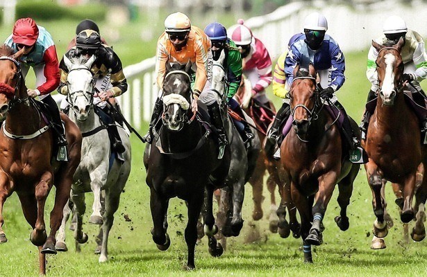 Paardenrennen: Royal Ascot