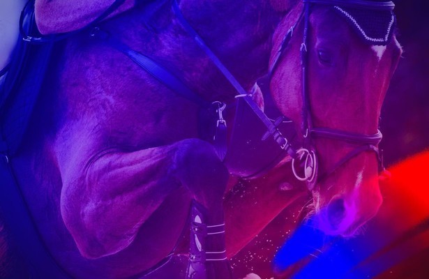 Paardensport: Global Champions Tour Riesenbeck
