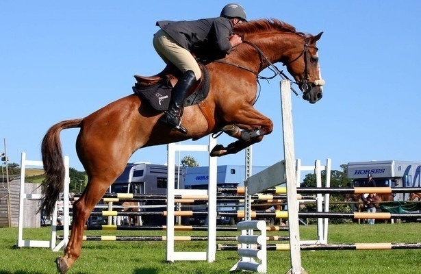 Sport im Westen live: Chio Aachen - Springreiten