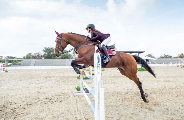 Paardensport: Grand slam tournament Spruce Meadows