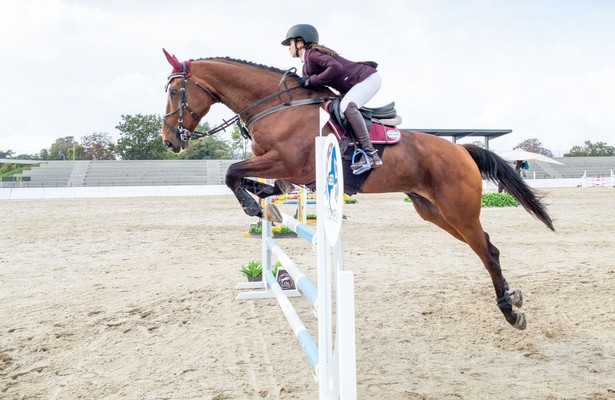 Paardensport: League of Nations Saint-Tropez