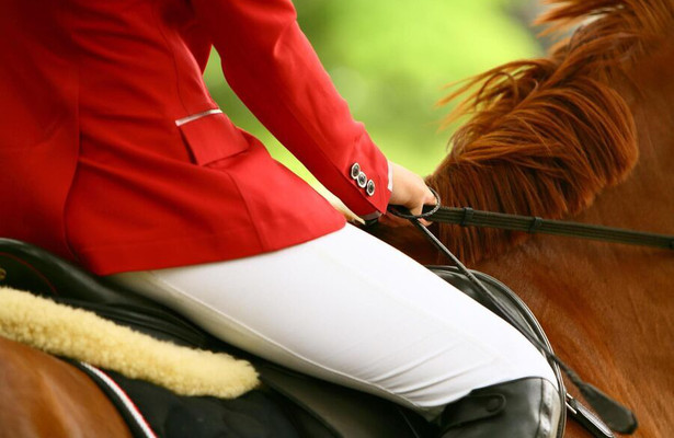 Paardensport: Wereldbeker springen Bordeaux