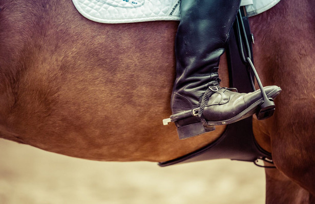 Paardensport: Wereldbeker springen Puebla