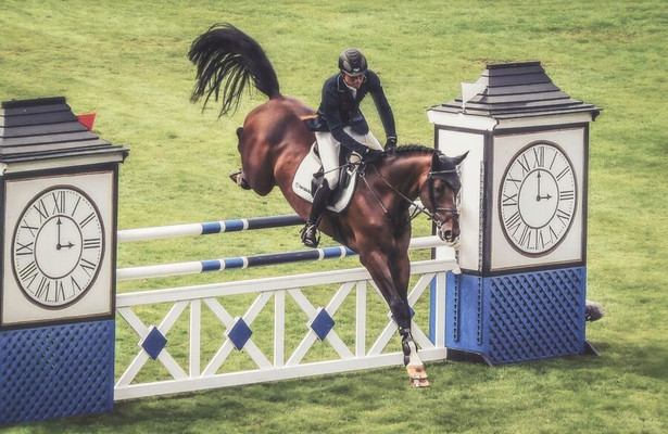 Paardensport: Wereldkampioenschappen in Aken