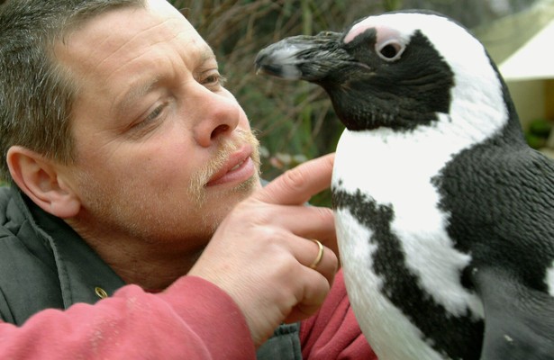 Pinguin, Löwe & Co.