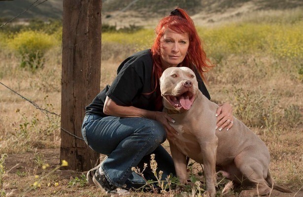 Pit Bulls & Parolees