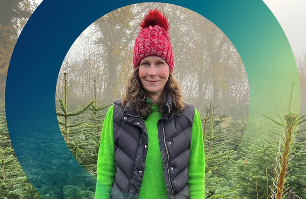 planet e.: Weihnachtsbaum ohne schlechtes Gewissen? Schöne Bescherung