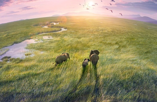 Planet Earth