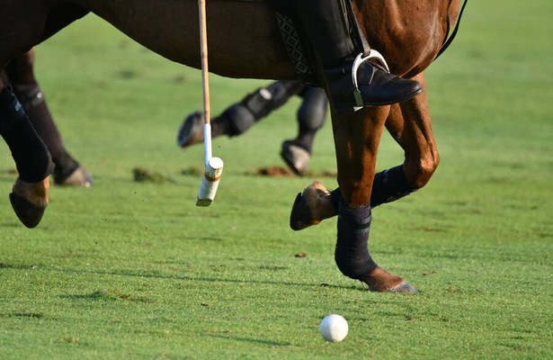 Polo: British Open Polo Championship