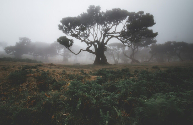 Portugal's wild wonders