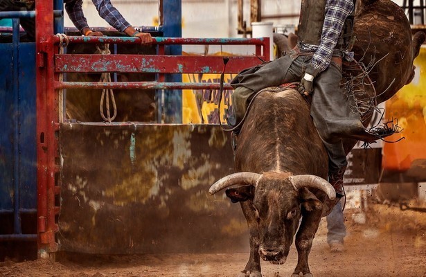 Pro Bull Riders