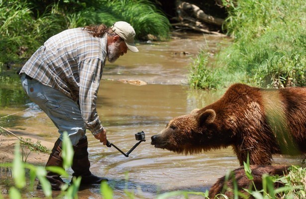 Project grizzly