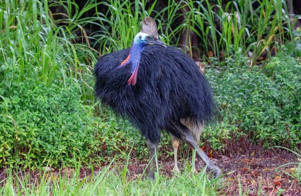 Queensland - Australiens Sonnenstaat
