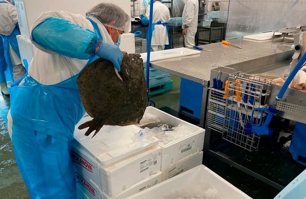 Re: