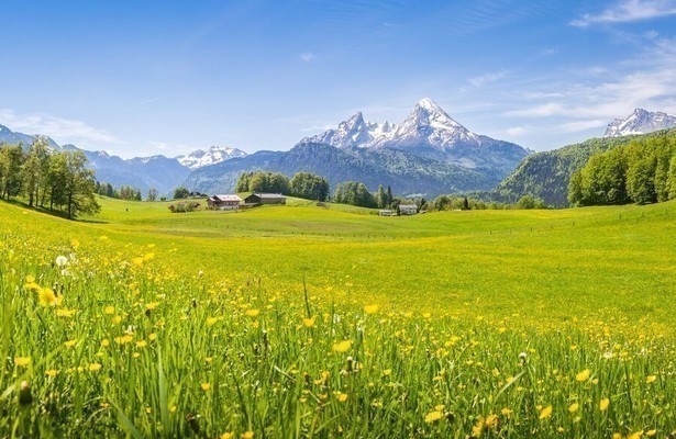 Re: Von der Großstadt auf die Alm