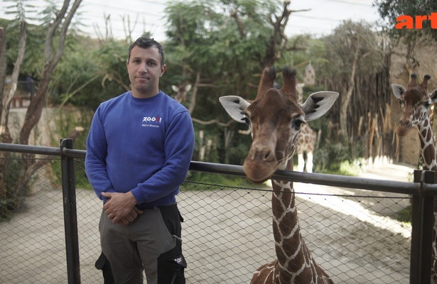 Re: Zu viele Tiere im Zoo - Wie geht moderner Artenschutz?