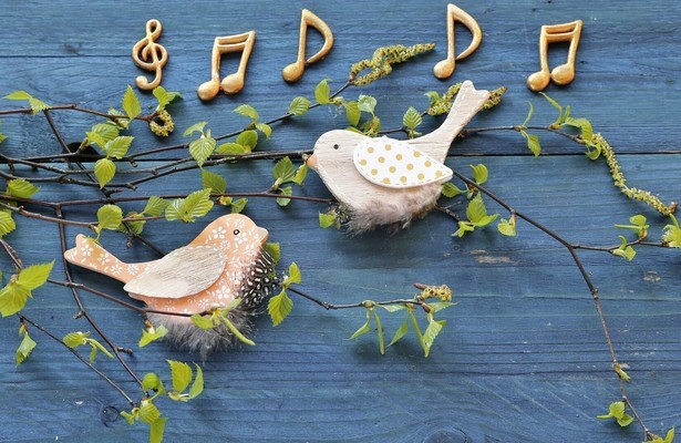 Rhythmus im Blut - Sind Tiere musikalisch?