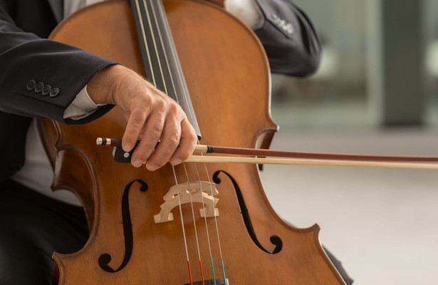 Rostropovitsj - The Indomitable Bow