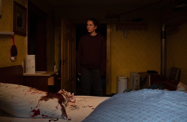 Schweigend steht der Wald