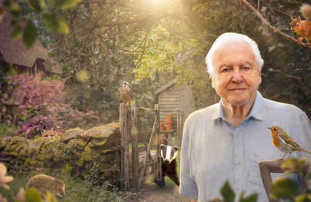 Signed: Secret garden