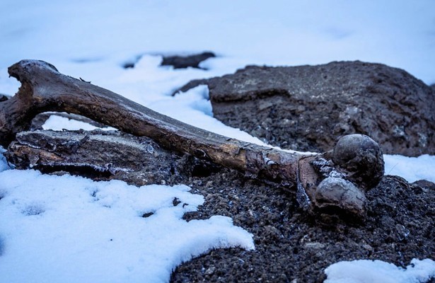 Secrets in the ice