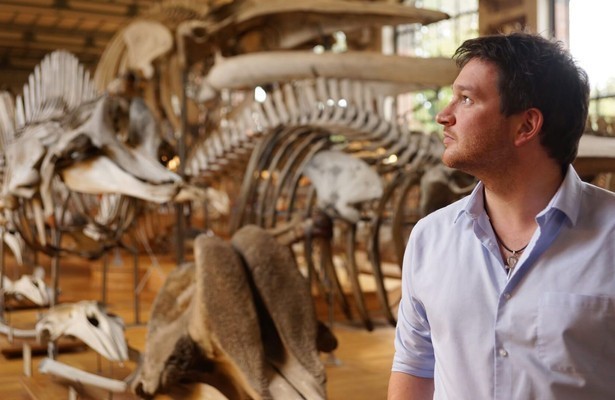 Secrets of Bones