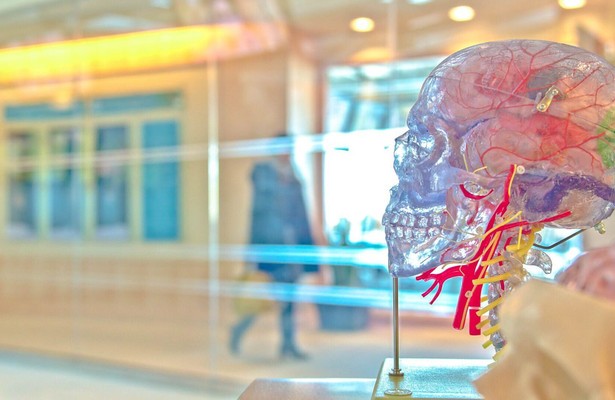 Secrets of the Brain