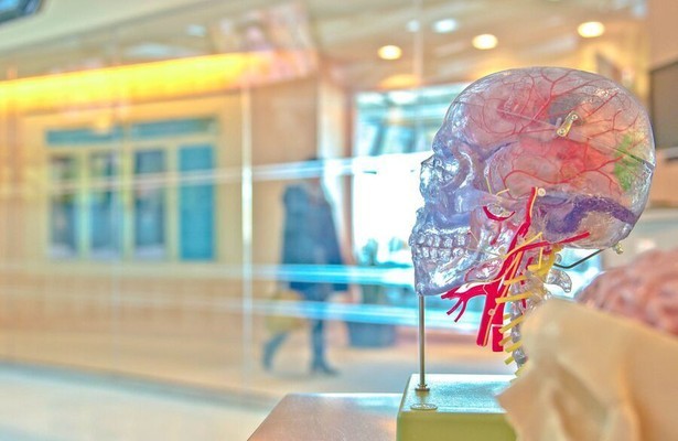 Secrets of the Brain