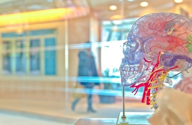 Secrets of the Brain