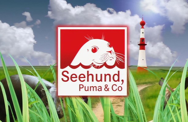 Seehund, Puma & Co.