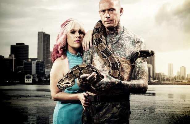 Snakes in the city