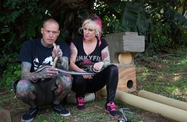 Snakes in the City: Uncharted Compilation